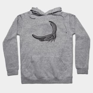 Treehopper Ink Art - cool and fun insect design - on white Hoodie